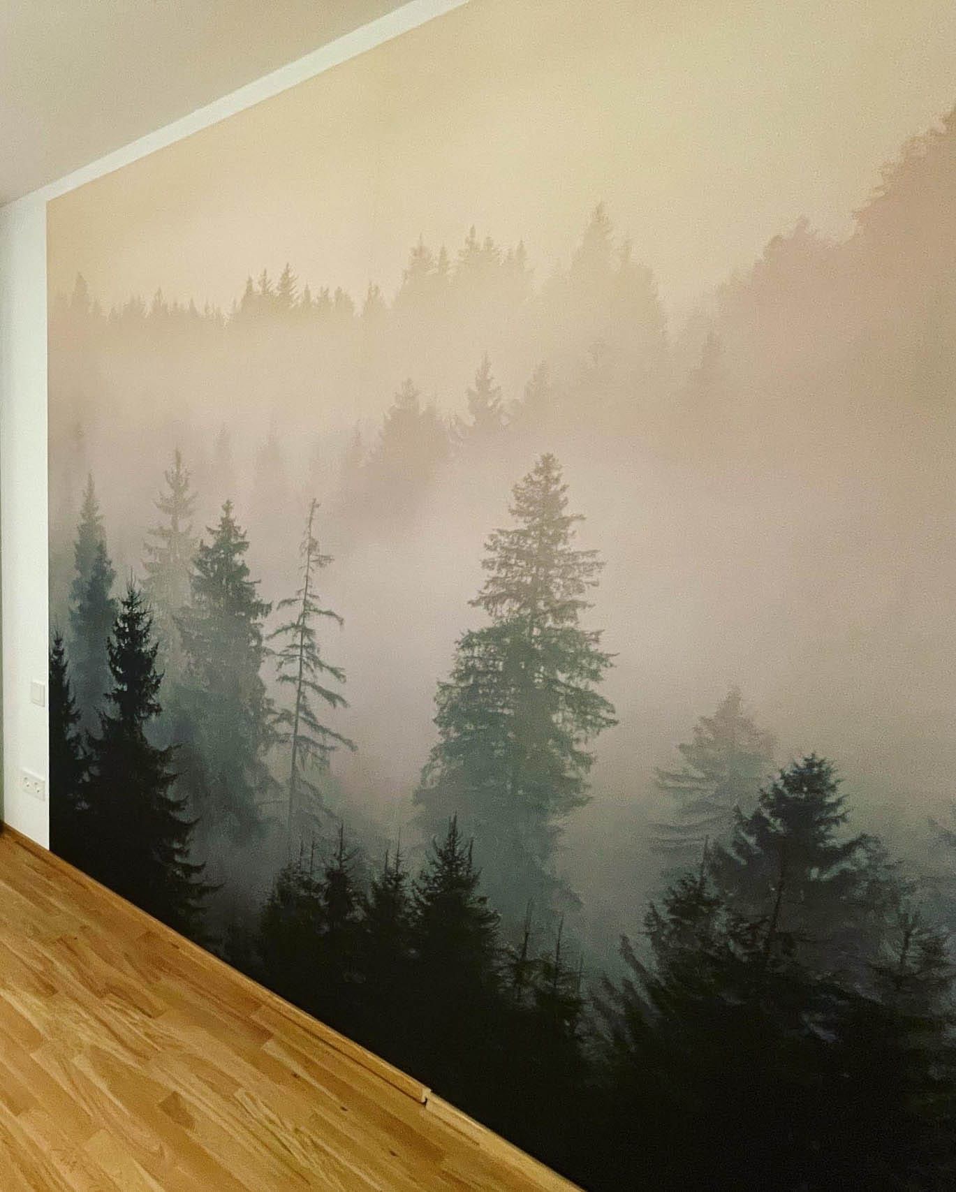 Verschneiter Wald mit Nebel im Hintergrund.