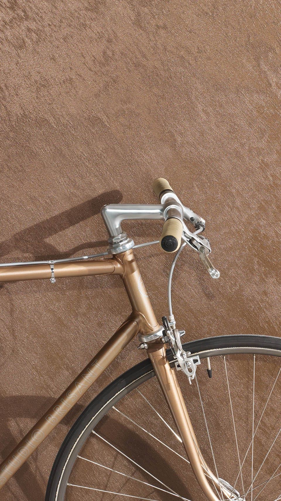 Nahaufnahme eines bronzefarbenen Fahrrads mit Lenker